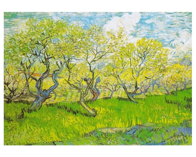 Vincent Van Gogh: Orchard in Blossom