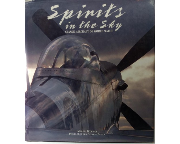 Spinits in the Sky