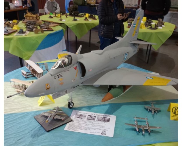 ESTUVIMOS EN LA 6ª EXPOSICIÓN DE MODELISMO Y COLECCIONISMO DE PARANÁ