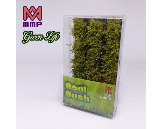 LIMA REAL BUSH