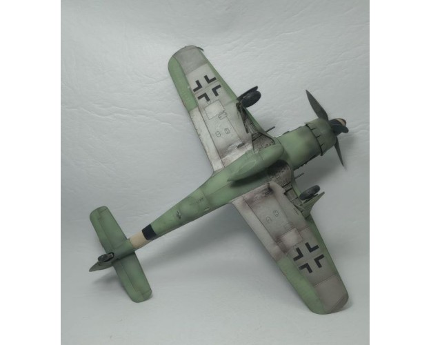 FOCKE-WULF FW-190 D9 - 14 NEGRO - 1/48