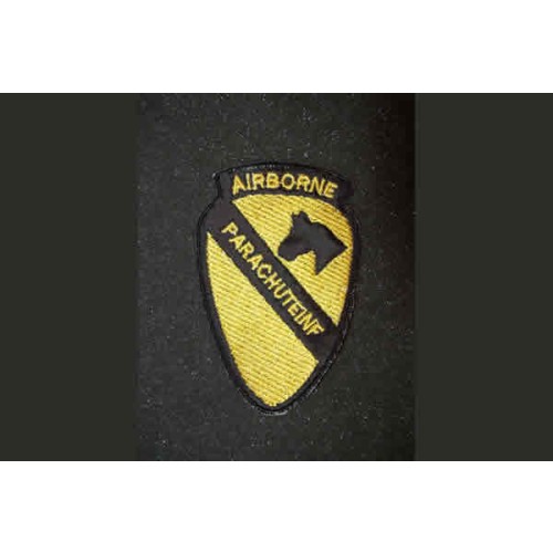 1ST CAVALRY DIVISION AIRBORNE PRACHUTE