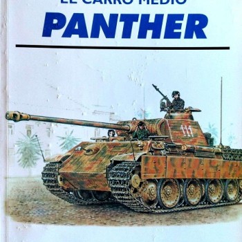 EL CARRO MEDIO PANTHER