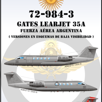 GATES LEARJET 35A - FUERZA AÉREA ARGENTINA - ESQUEMA BAJA VISIBILIDAD