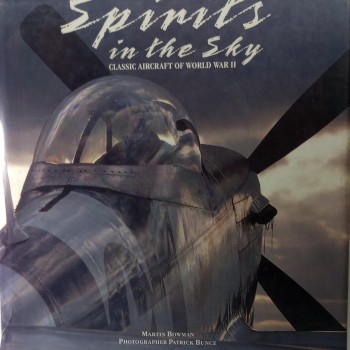Spinits in the Sky