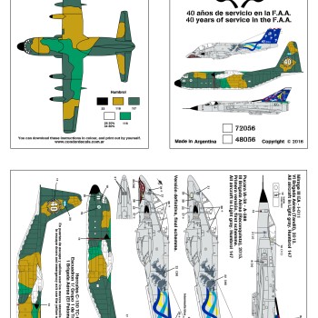 40 años en la FAA                               