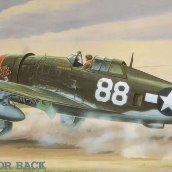 P-47D RAZORBACK