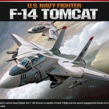 U.S. NAVY FIGHTER F-14 TOMCAT