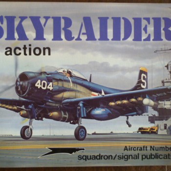 SKYRAIDER IN ACTION