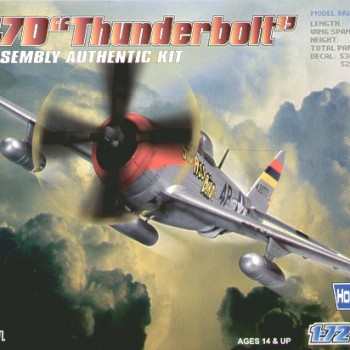 P-47D THUNDERBOLT