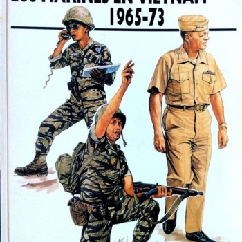 10 Los marines en Vietnam 1965-73
